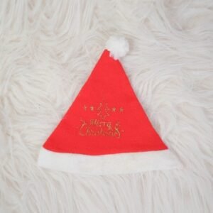 Christmas Santa Cap (5 Pcs Set)