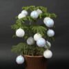 Christmas Big Balls White Ornaments Set Shatterproof Decorations for Trees (16Pcs) - Image 2
