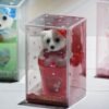 Plastic Valentine Plush Soft Teddy in Tub Gift Set, Decorative Show Piece - Image 4