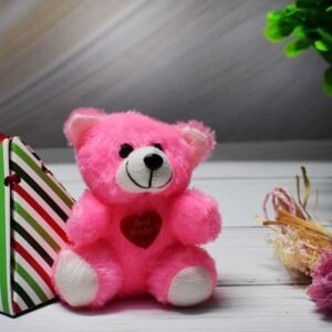 Teddy Day Valentine Special | Gift for Her | Special Occasions