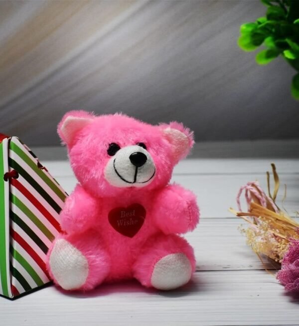 Teddy Day Valentine Special | Gift for Her | Special Occasions